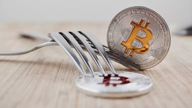 US urged to sell government's 1.4 billion lbs of cheese reserves to buy Bitcoin