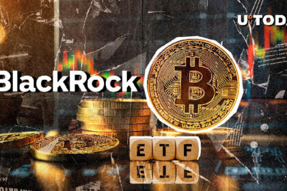 Bitcoin ETFs Experience Another Wave of Outflows, BlackRock in Focus