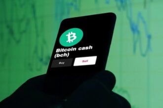 Bitcoin Cash surprises the market with its price increase