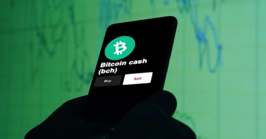 Bitcoin Cash surprises the market with its price increase