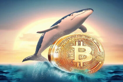 Bitcoin Whales Turned the Drop Into a Buying Opportunity! Thousands of Bitcoins Changed Hands! Here Are the Details