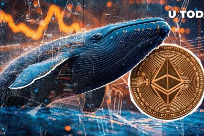 Surprising Ethereum (ETH) Whale Accumulation Just Started: Details