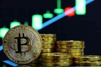 Why Bitcoin is set to start an 'insane rally'
