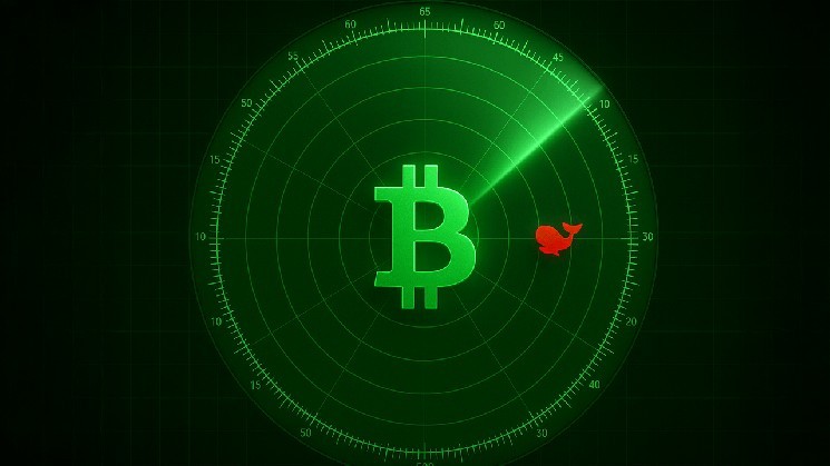 500 More Bitcoin Moved After Yesterday’s 1,200 BTC Shift