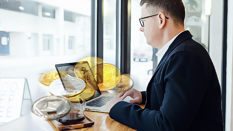 Can DWF Revive HIPPO Coin’s Value?