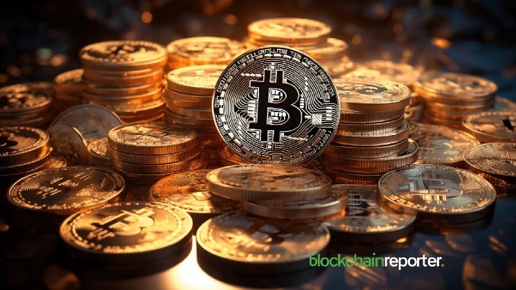 Resilient Long-Term Bitcoin Holders Confidently Add 635K BTC Since January Amid Market Shifts