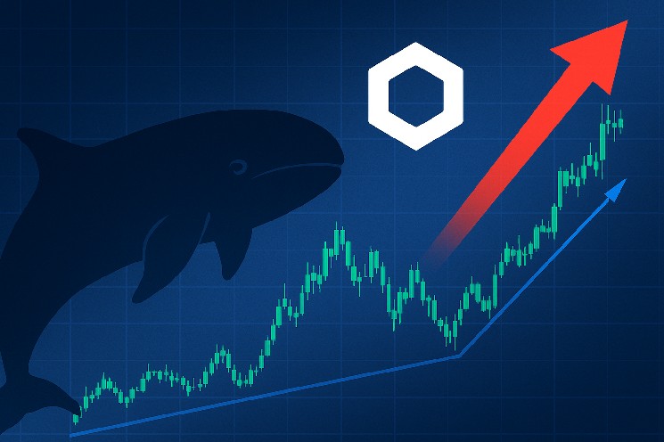 Chainlink Whale Activity Jumps 178% – Is a LINK Breakout Coming?