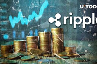 Ripple USD Stablecoin Volume Spikes 95%: What's Happening?