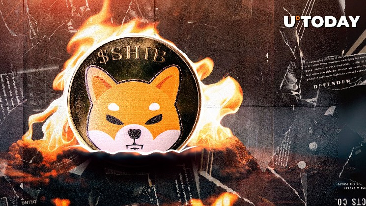 Shiba Inu Burn Rate Crashes to Rare Lows