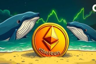 What Do Ethereum Whales Know That We Don’t?
