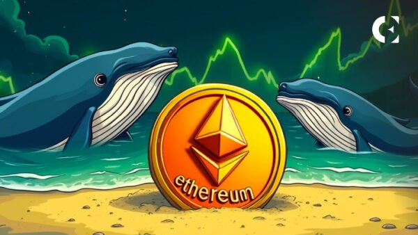 What Do Ethereum Whales Know That We Don’t?