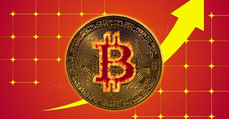 Bitcoin Market Nears Equilibrium as 80% of Holders Stay in Profit, Says Analyst