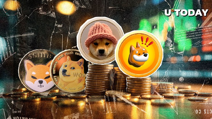 BONK, WIF Beat SHIB, DOGE in Gains Amid BTC Boom