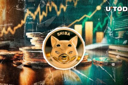 Unusual 6,228,348,237 Shiba Inu Stun Binance Exchange, SHIB Reset Underway