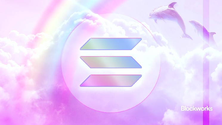 The rise of vibe coding on Solana