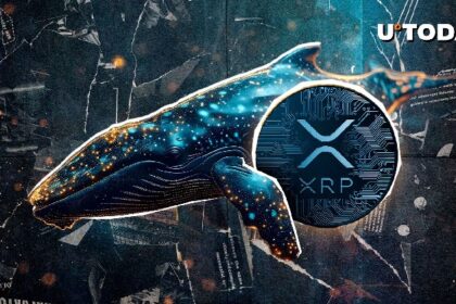 XRP Long Abandoned by Gigantic Whale. Here's Why