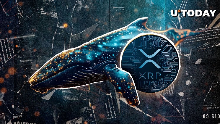 XRP Long Abandoned by Gigantic Whale. Here's Why