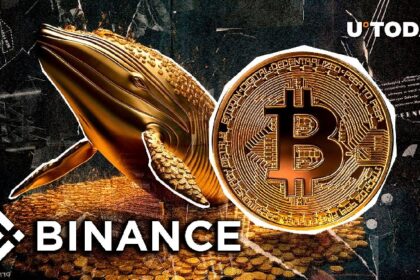 900 BTC Leaves Binance in Mysterious Whale Move, What's Happening?