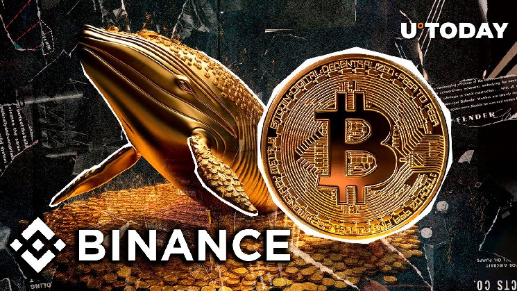 900 BTC Leaves Binance in Mysterious Whale Move, What's Happening?