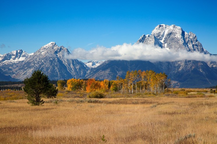 Wyoming Taps Inca Digital to Secure First State-Issued Stablecoin Ahead of July Launch