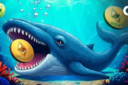 Ethereum Whales Add 1.4 Million ETH as Price Breaks Major Resistance, Nears $3,000