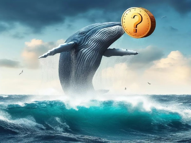 The Giant Whale Who Longed Ethereum (ETH) and Earned $10 Million in 3 Days Has Now Longed This Altcoin Too!