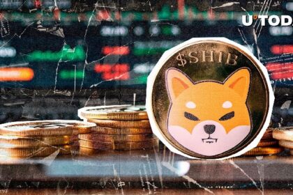 Key Update on Upcoming SHIB L3 Alpha Released by SHIB Team