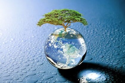 Zimbabwe rolls out blockchain-based carbon credit market system