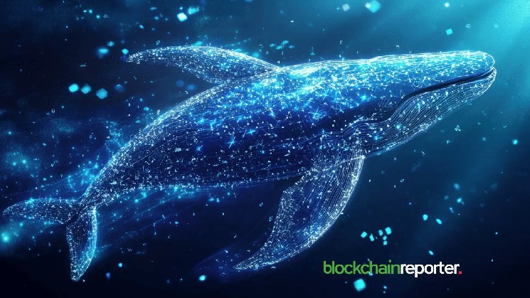 Whale Bets $13M on Short Positions