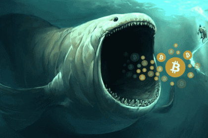 Bitcoin whales