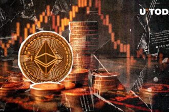 Ethereum Holders Not Selling, Cost Basis Nosedives