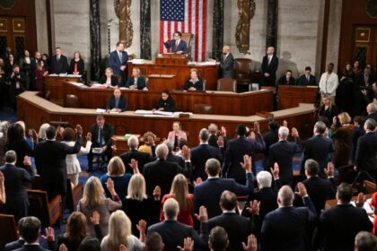 Should the "Domain Domain Law" be approved to gain clarity in cryptocurrencies?