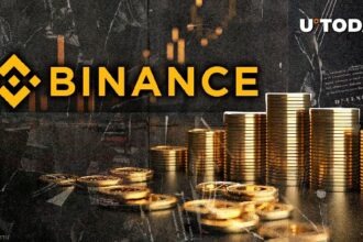 Binance Wallet Grabs 95% DEX Market Share