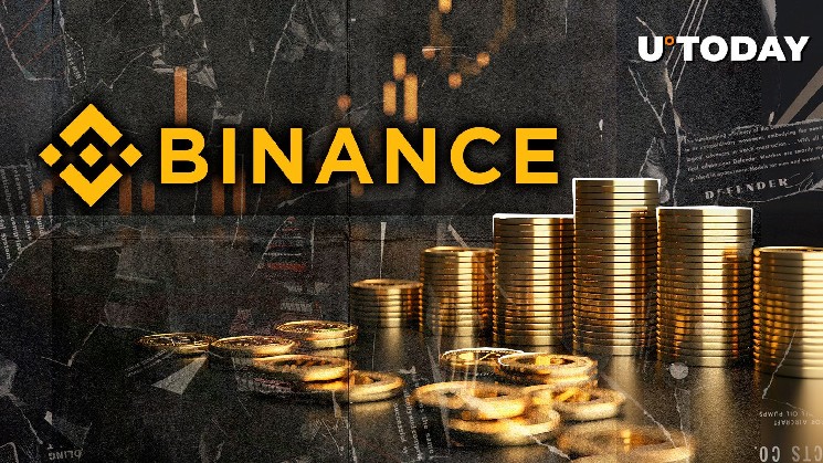 Binance Wallet Grabs 95% DEX Market Share