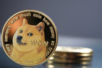 Doge investors shout "Hold!" and community support are given