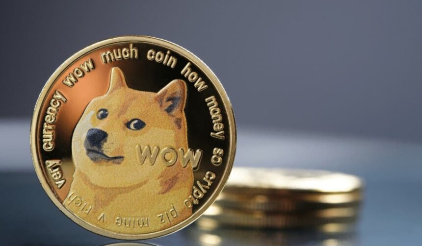 Doge investors shout "Hold!" and community support are given