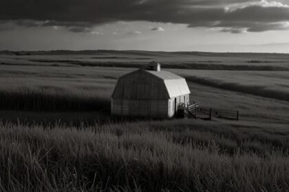 Infrastructure Safeguard or Soft Ban in Disguise?