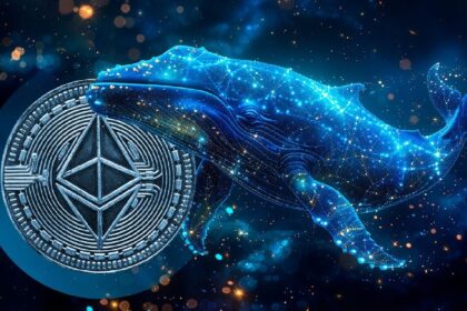 Ethereum Accumulation Hits This Cycle's All-Time High