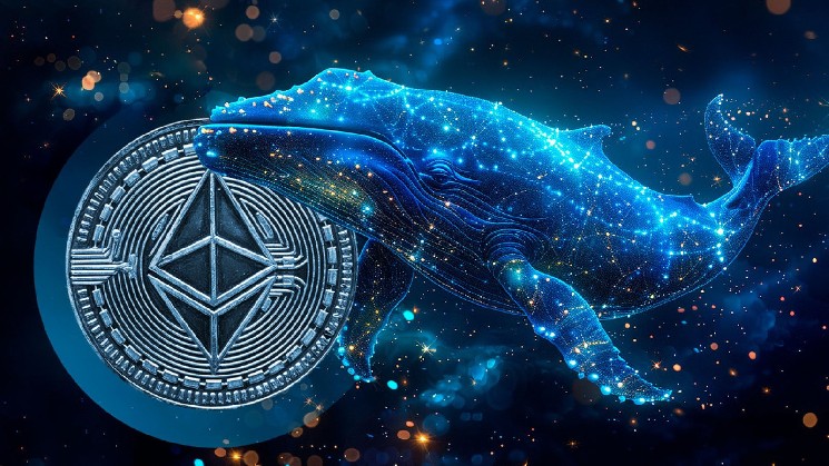 Ethereum Accumulation Hits This Cycle's All-Time High