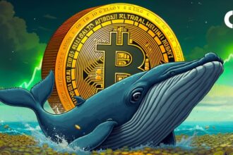 Will This Whale’s 20X Leverage Bet Push Bitcoin to a New All-Time High?