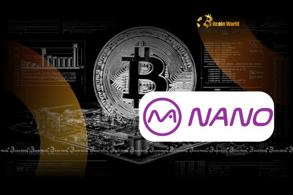 Bolstering BTC Holdings to 1,000