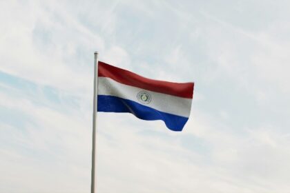 Paraguay President's X Account Hacked, Shares Bitcoin Scam