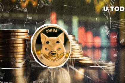 Crucial Crypto Market Statement Published by SHIB Team: Details