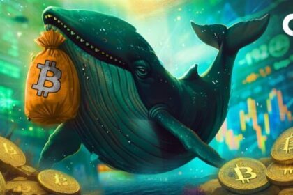 Bitcoin Dips 5.5%, But Institutional Buying Surges to Over $1.3 Billion