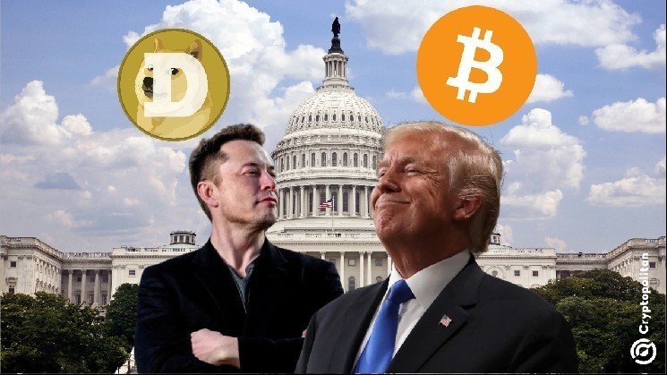 Dogecoin crashes as Trump threatens to cancel contracts, Musk responds with Dragon shutdown
