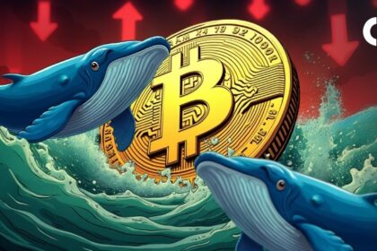 Bitcoin Dips on Geopolitical News, But On-Chain Data Shows Whales Are Buying
