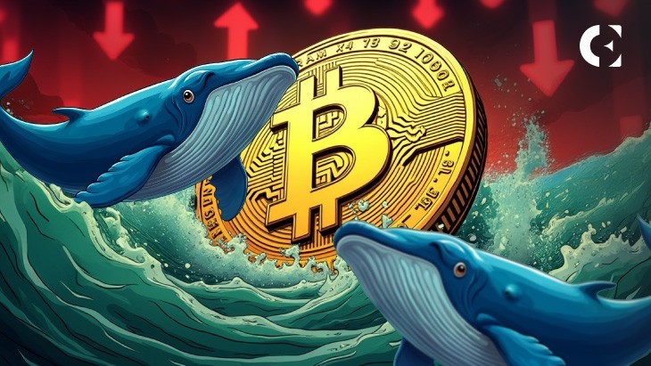 Bitcoin Dips on Geopolitical News, But On-Chain Data Shows Whales Are Buying