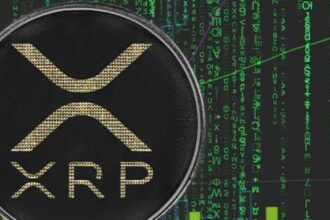 XRP Experiences a First-Time Event in Its History – Unusual Data Coming In