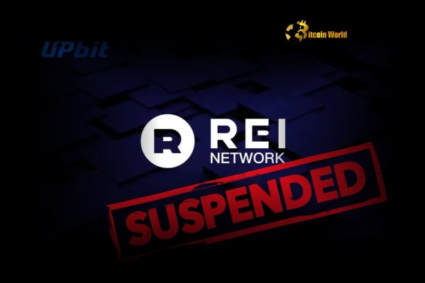 REI Network Suspension Halts Deposits & Withdrawals