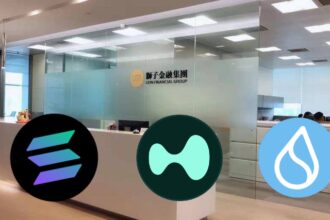 Company is borrowing for 600 million dollars to buy Sol, Sui and Hype